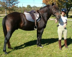Although we searched high and low for the right Canadian for Gerry and Vi, they fell in love with a local gelding named Dexter who is not a Canadian but nonetheless, looks and behaves like one. Dexter is a Trakkener/QH cross - but doesn't he resemble one of our beloved?